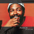 Marvin Gaye The Marvin Gaye Collection