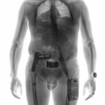 Rabit Stranger in a Strange Land