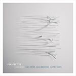 Hanno Busch Perspective